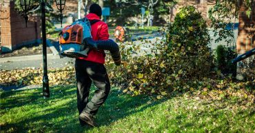 Horticulture Fall landscaping tips Florida