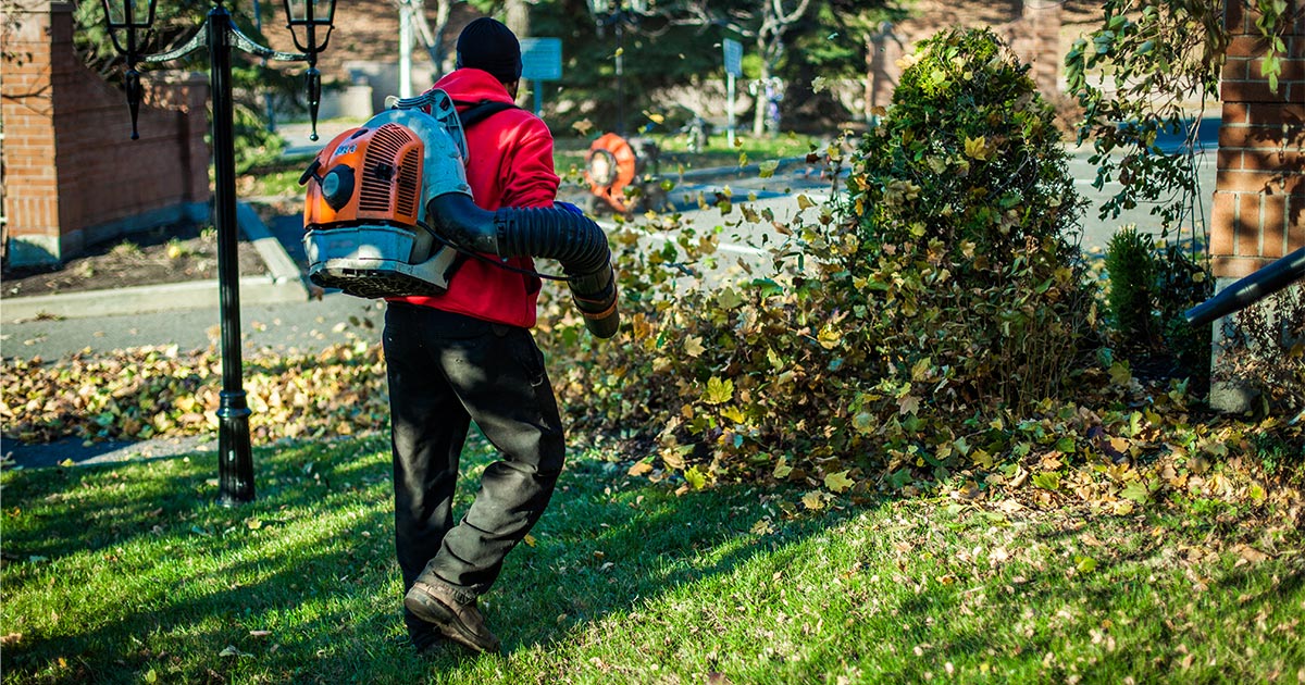 Fall Landscaping Tips For A Beautiful Spring Asi Landscape