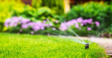 Horticulture Irrigation winterization Tampa Florida