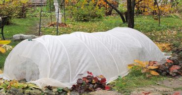 Horticulture Plant Protection For Winter