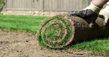 Central Florida landscape Horticulture services Turfgrass Management Florida